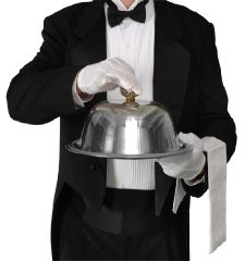 Catering Waiter Server